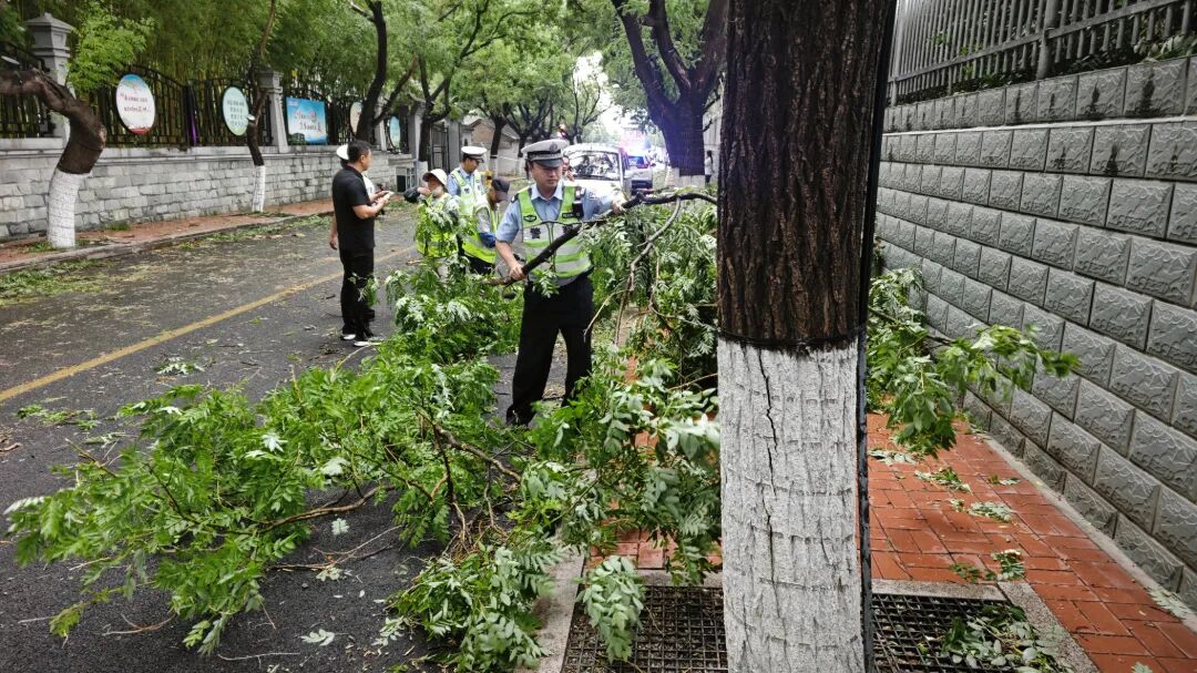 6月7日 遇突发天气 高考考场外 树枝折断 执勤交警恢复交通.jpg