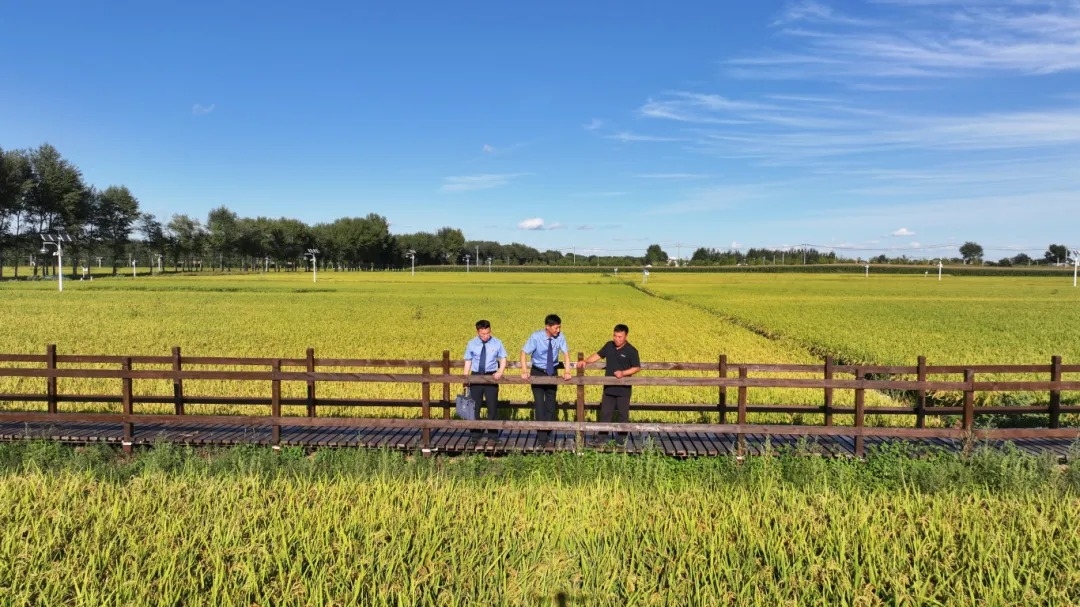 DJI_20250824161450_0033_D.JPG