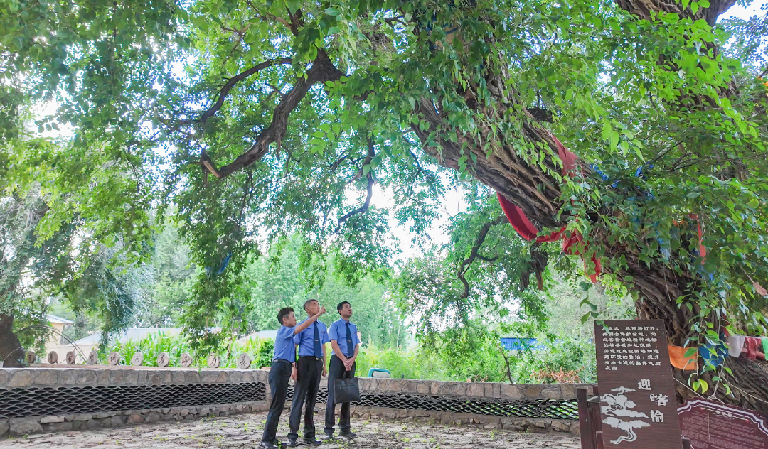 21804037779939c15ceb7b5a7851f553.png 21804037779939c15ceb7b5a7851f553.png