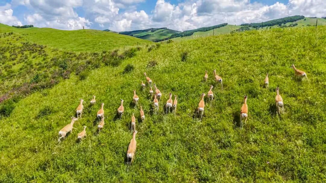 58a30e7dc3df96cd07c56969a197833b.jpg 58a30e7dc3df96cd07c56969a197833b.jpg