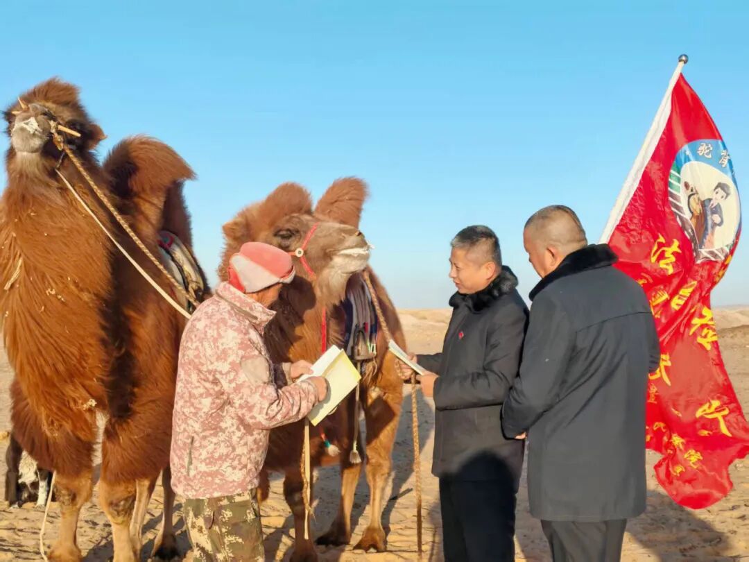 微信图片_20260323094122_14_397.jpg 微信图片_20260323094122_14_397.jpg