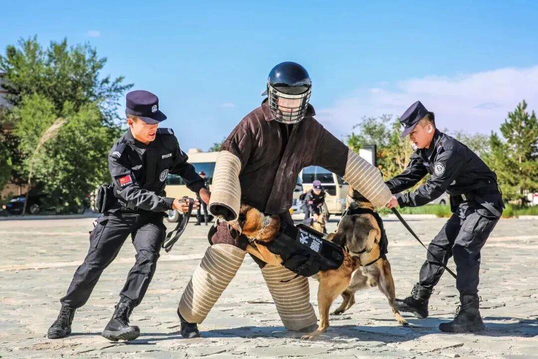 图片 图片