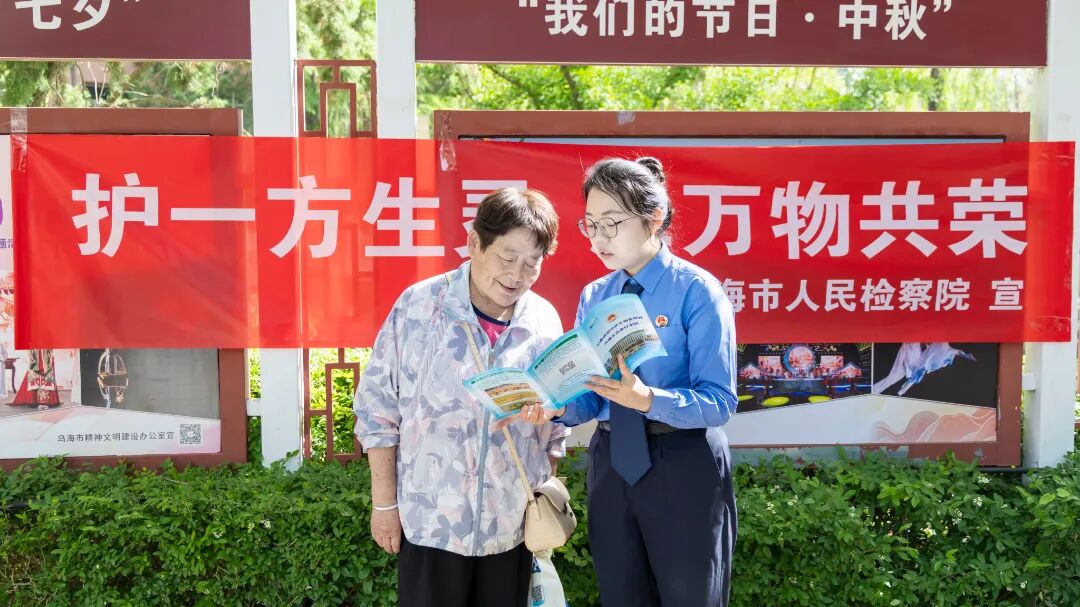 图片 图片