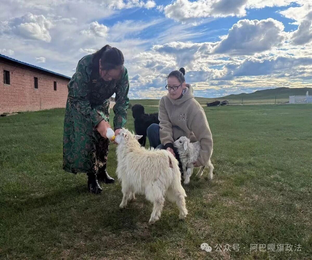 图片 图片