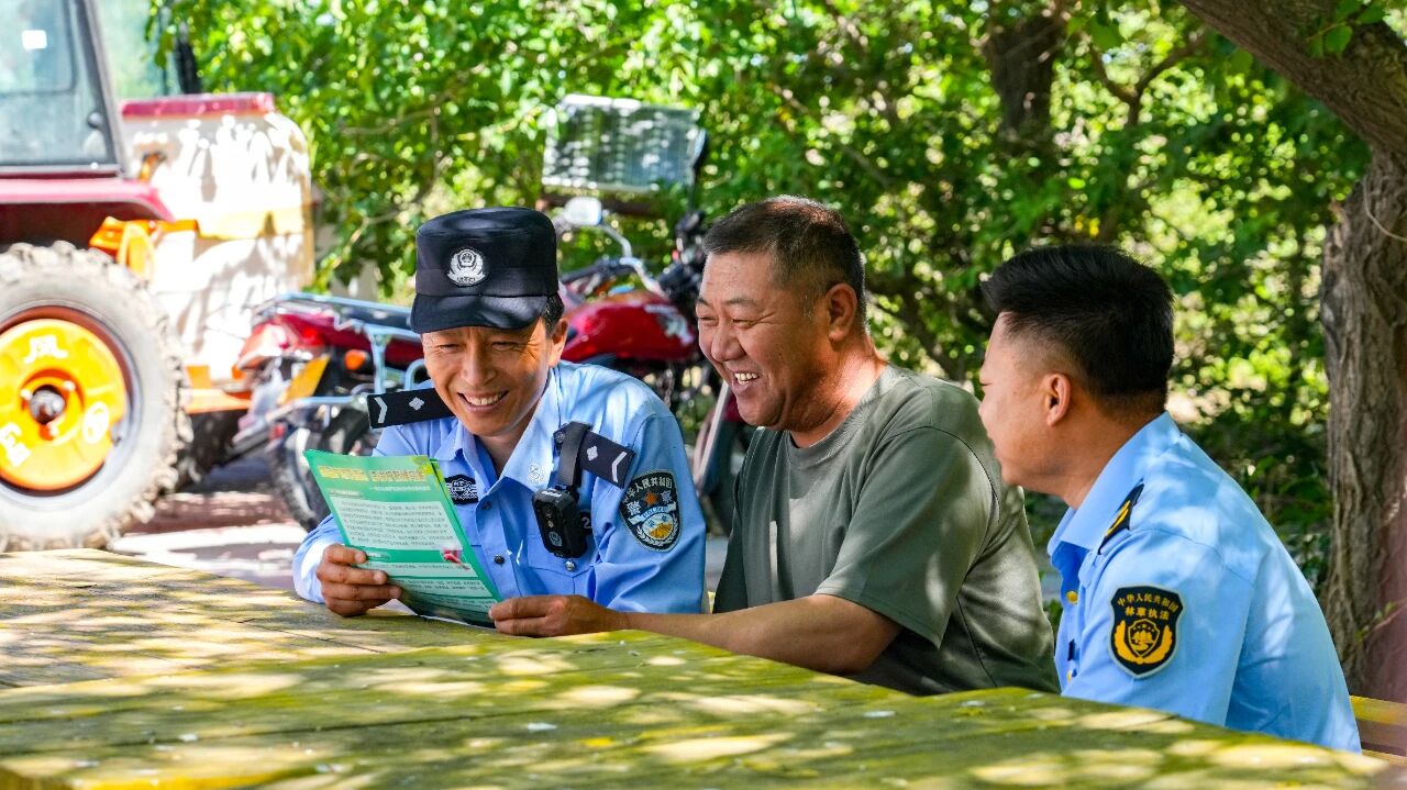 图片 图片