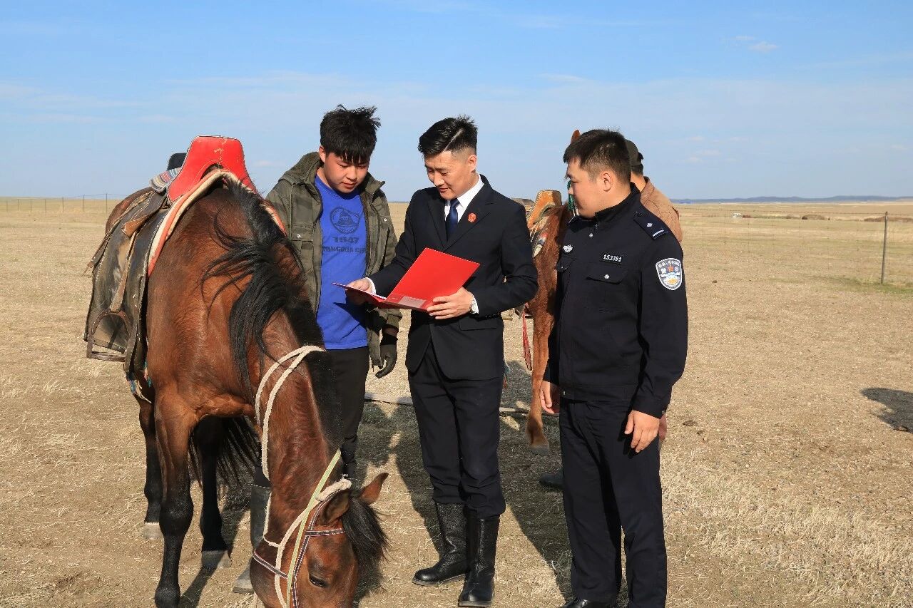 图片 图片