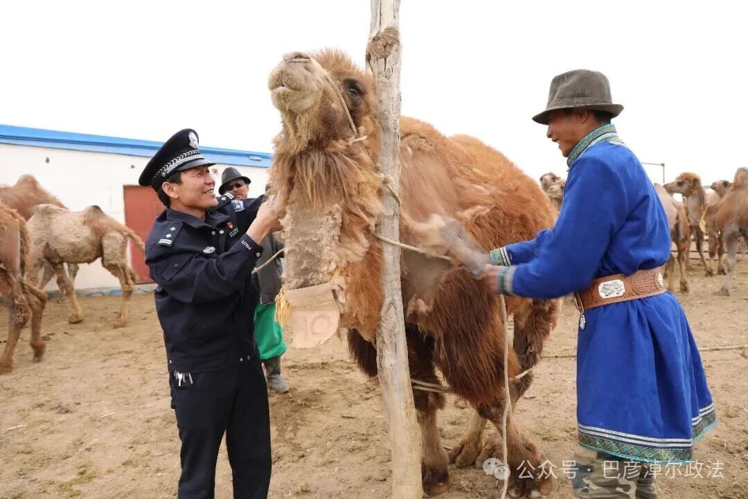 图片 图片