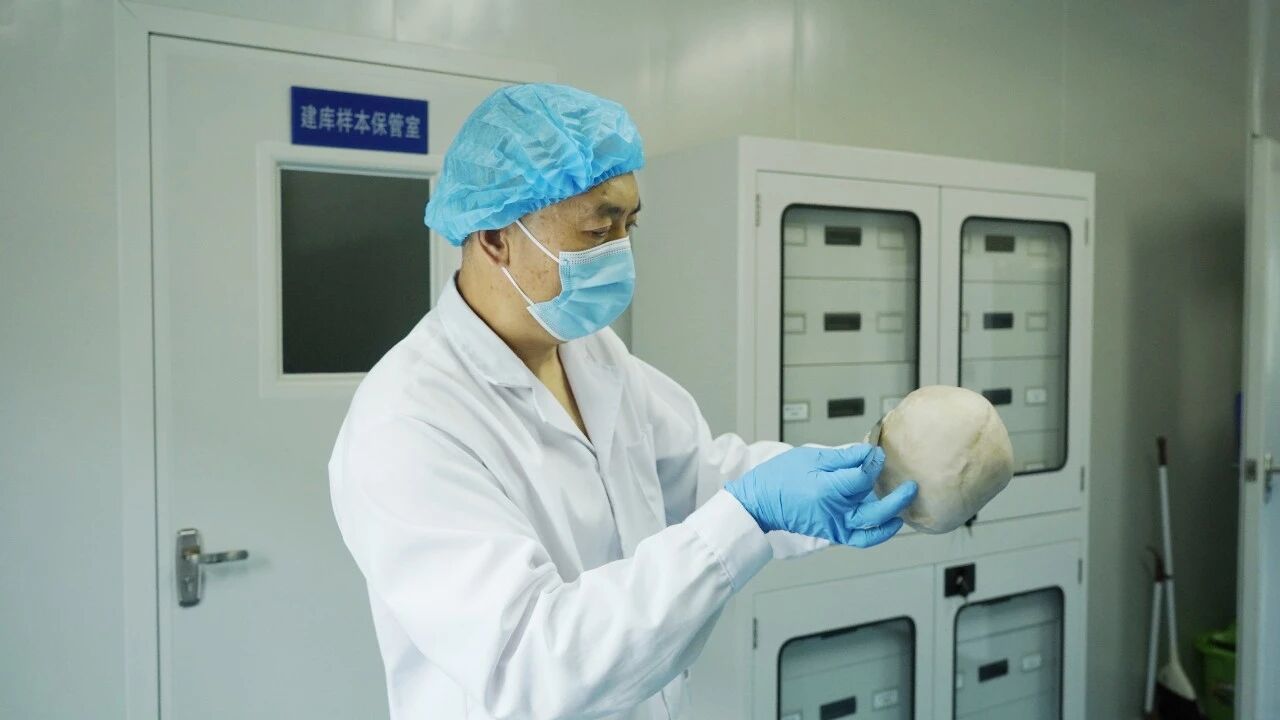 图片 图片