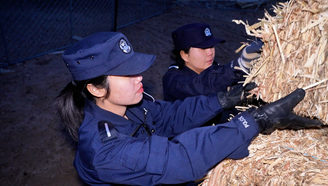 图片 图片