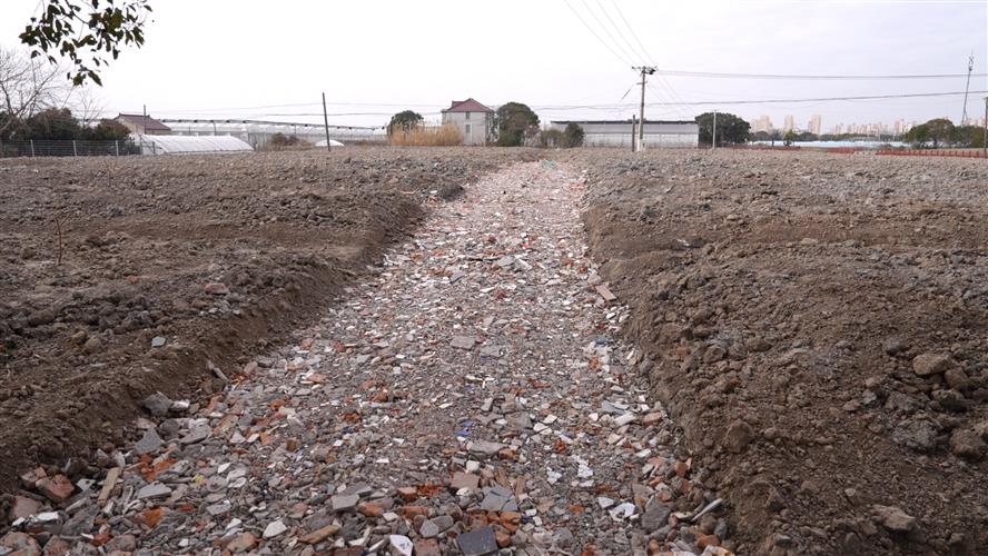 WDCM上传图片 WDCM上传图片