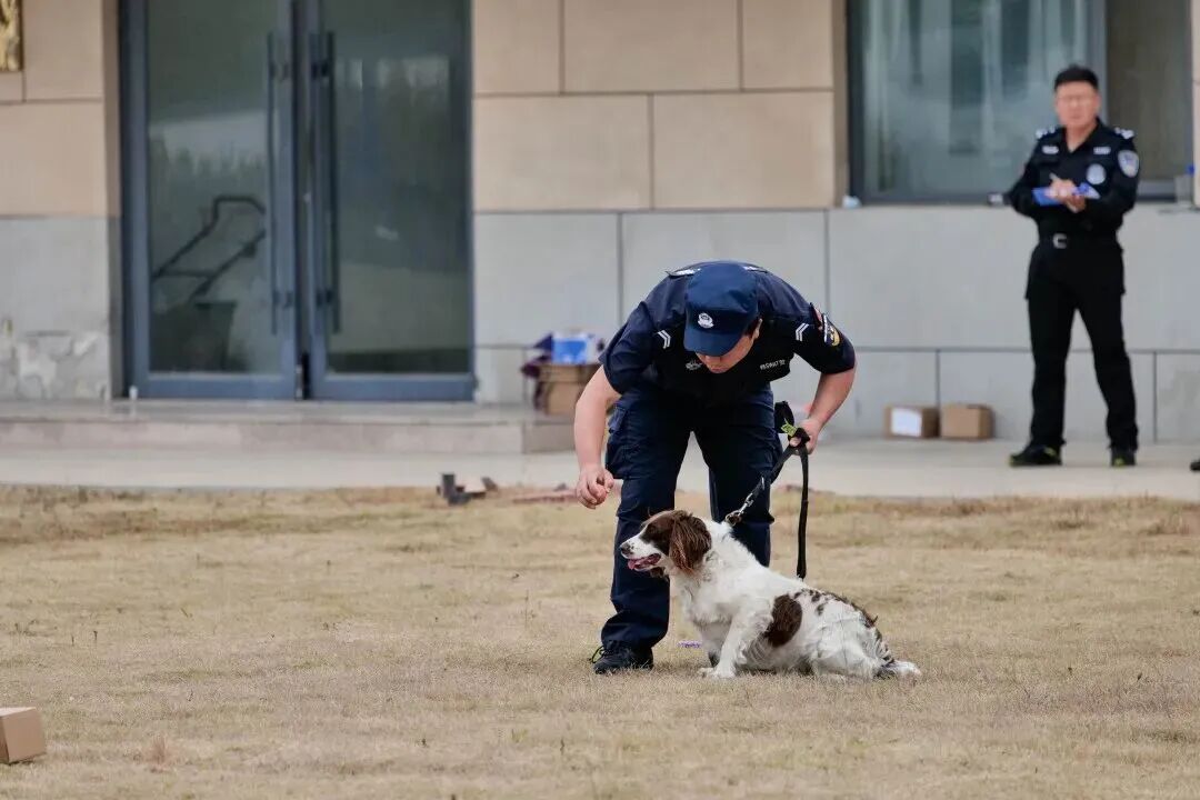 图片 图片