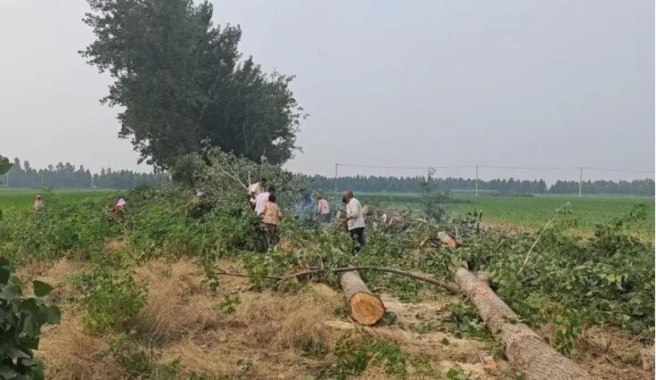 图片 图片