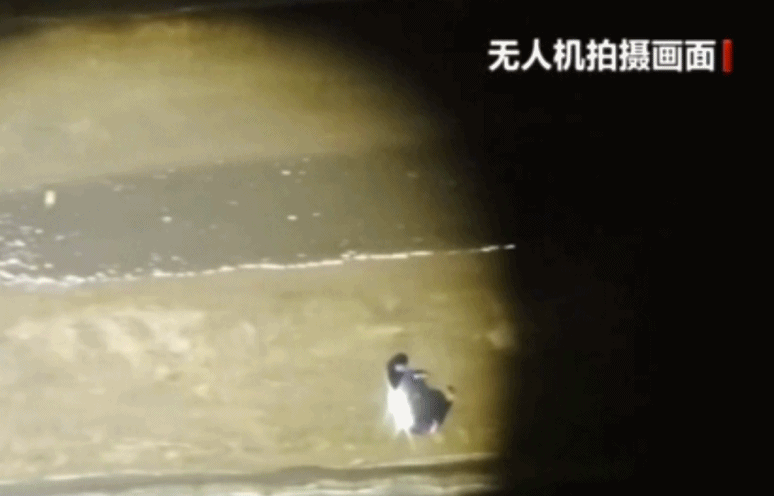黄陂区分局-照亮阿尔茨海默病老人的回家路10.gif