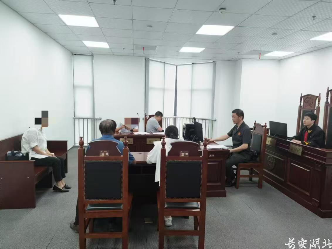 武昌区法院1-水果湖法庭法官在湖北省银保调中心巡回审判法庭开展“示范性诉讼+批量化调解”工作.jpg