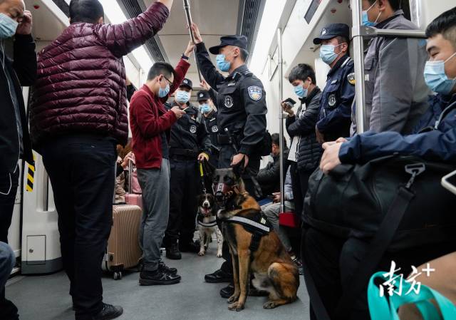 特警带警犬在地铁巡逻