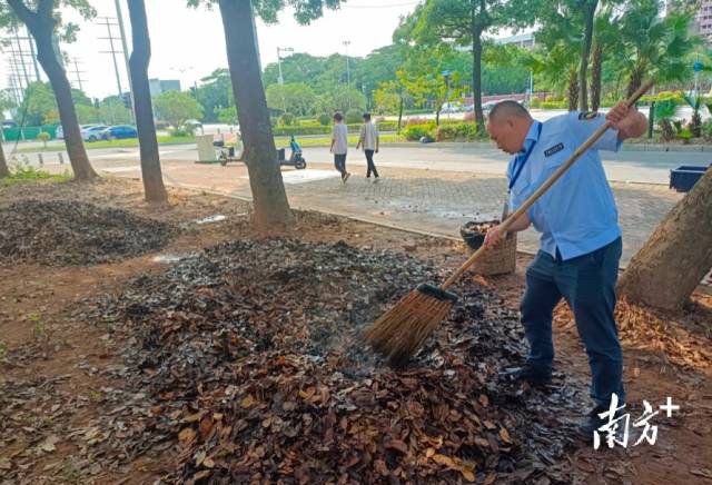 高埗镇护安围村网格管理员黎润枝对焚烧中的树叶进行扑灭处置。 高埗镇护安围村网格管理员黎润枝对焚烧中的树叶进行扑灭处置。