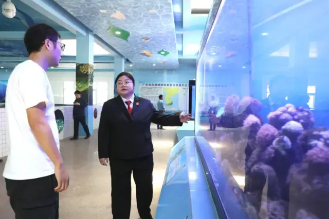 法官了解石珊瑚对海洋生态环境的影响