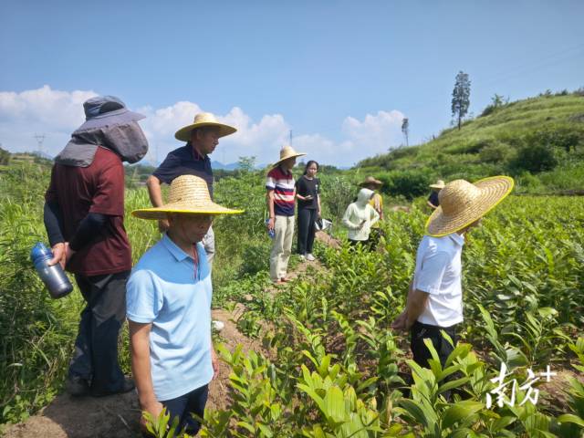 调解小组赶赴现场实地勘察。麦毅摄 调解小组赶赴现场实地勘察。麦毅摄