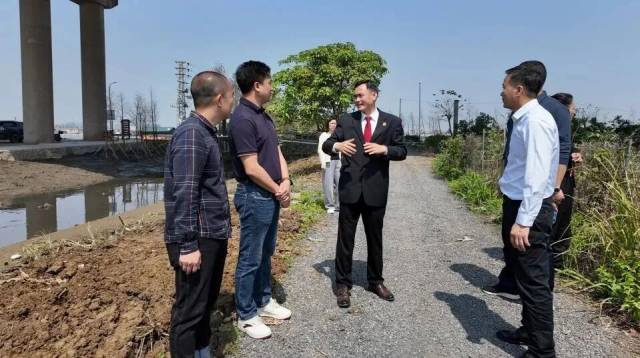 法官现场调查植树和清淤情况 法官现场调查植树和清淤情况