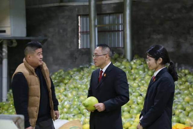 梅县法院松口法庭走访柚企