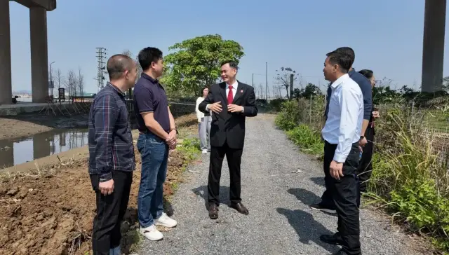 法官现场调查植树和清淤情况 法官现场调查植树和清淤情况