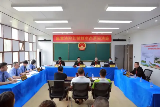 麻章法院在红树林生态巡回法庭开庭审理“以碳代偿”认购碳汇替代性修复红树林生态案 麻章法院在红树林生态巡回法庭开庭审理“以碳代偿”认购碳汇替代性修复红树林生态案