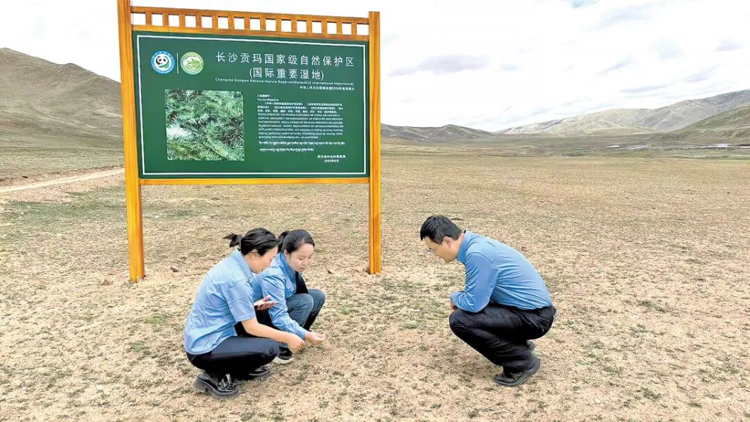 已处理.jpg