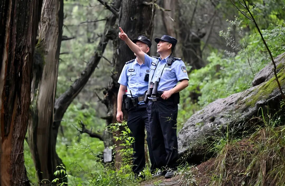 民警在古木林间开展巡护,用脚步筑牢生态安全屏障.jpg 民警在古木林间开展巡护,用脚步筑牢生态安全屏障.jpg