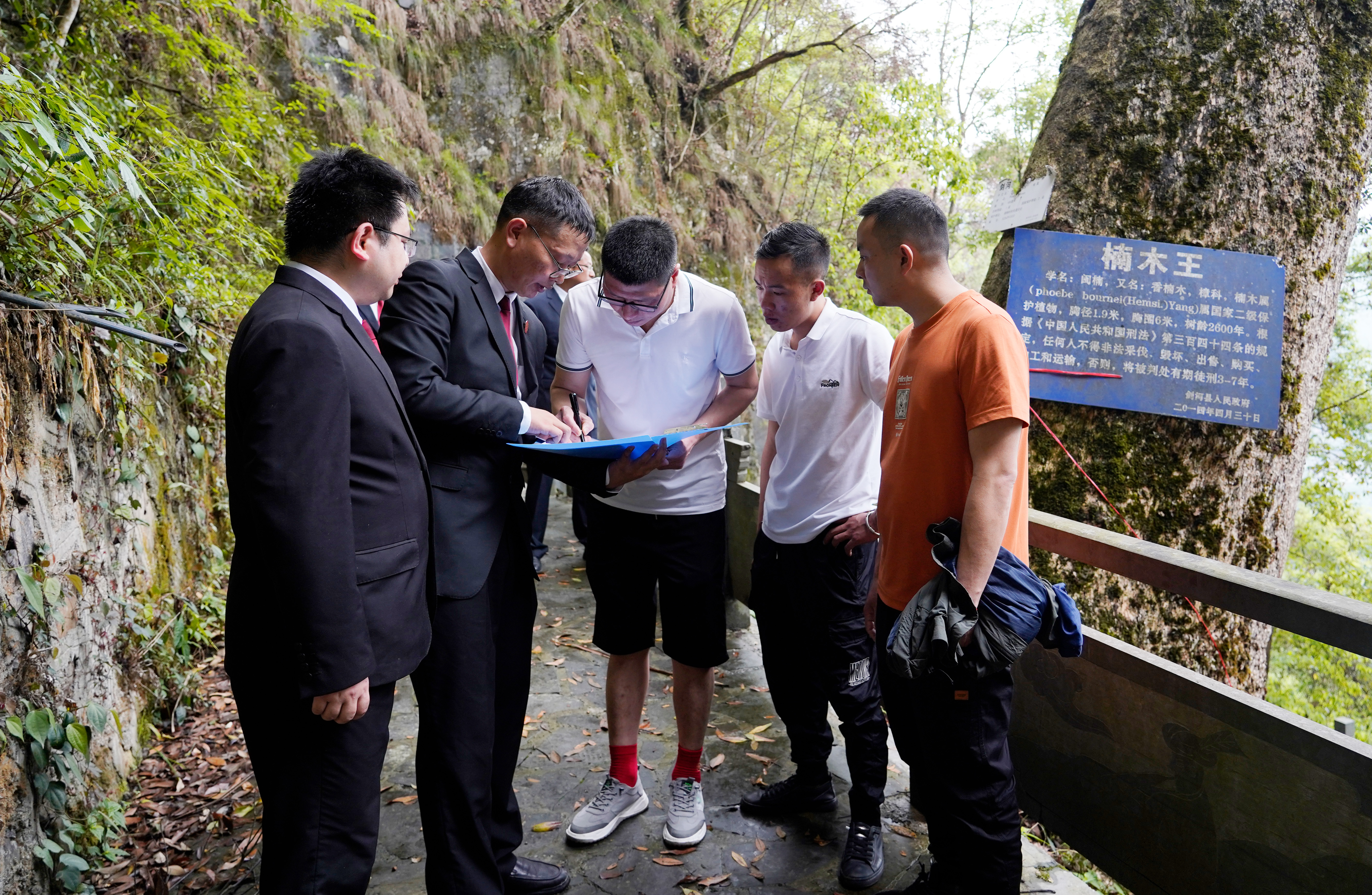 半岛网址打造贵州生态司法保护“新样板” 他们一纸令下救活守护村寨“活菩萨”(图2)