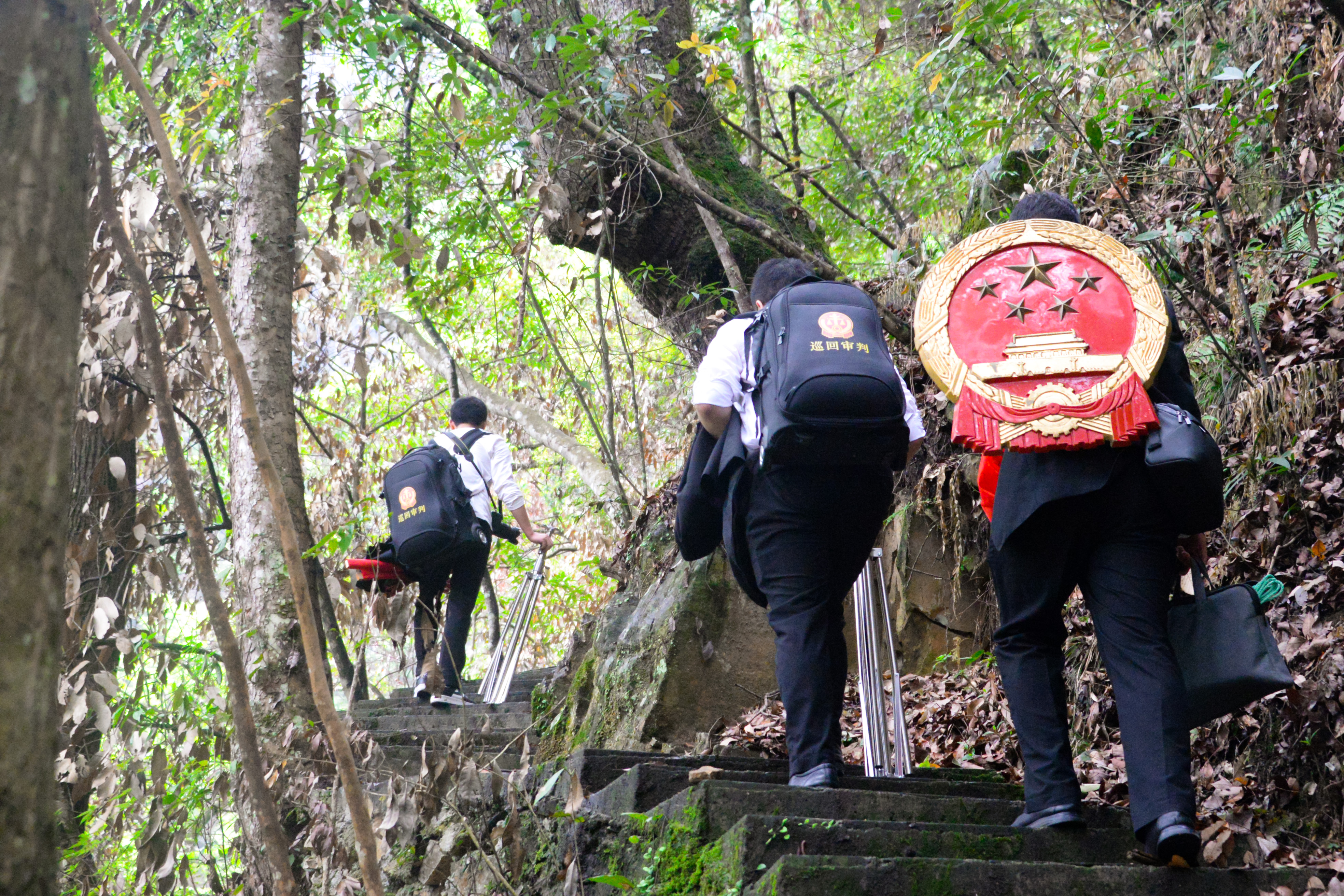 半岛网址打造贵州生态司法保护“新样板” 他们一纸令下救活守护村寨“活菩萨”(图1)