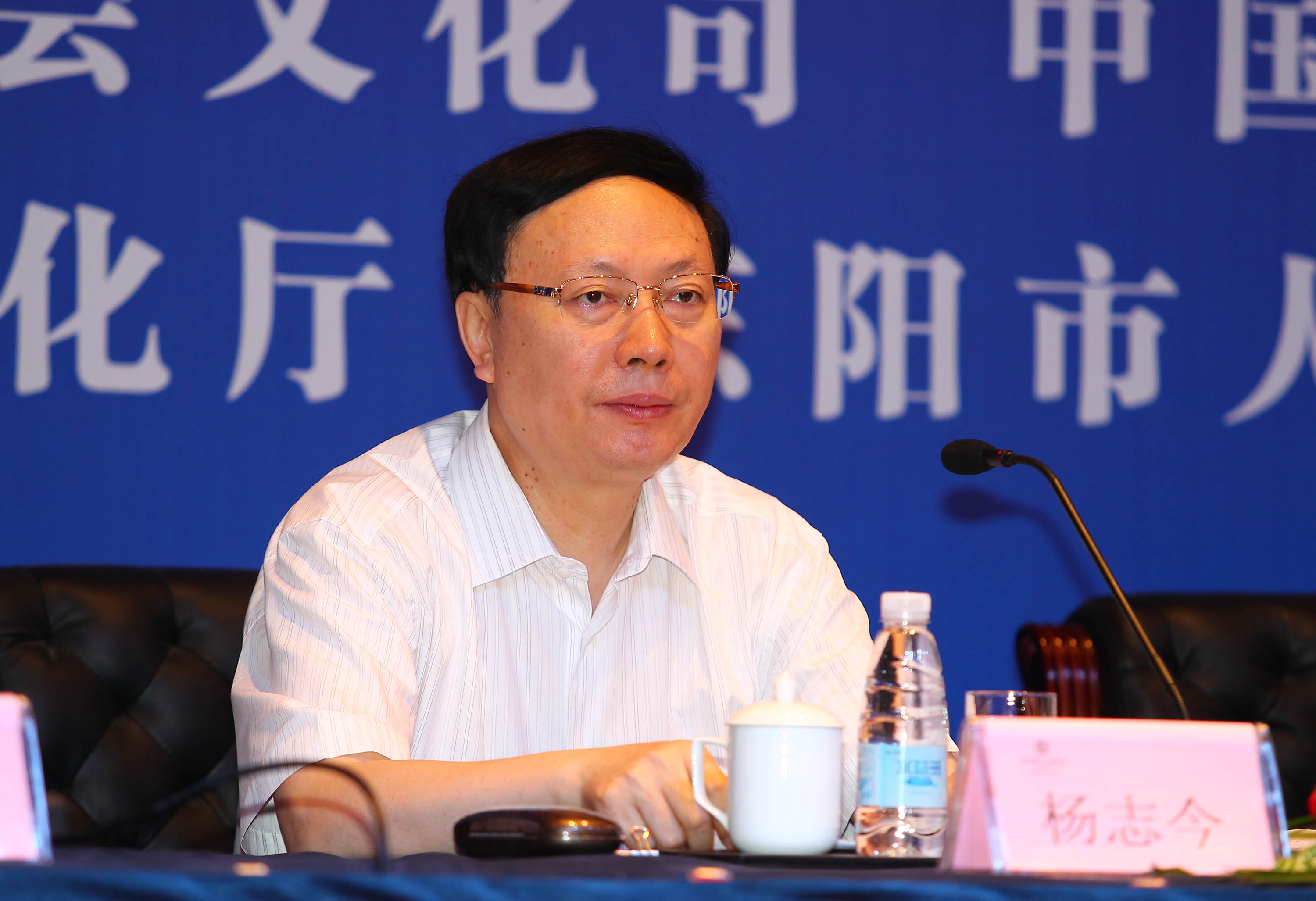 图为文化部党组成员,副部长杨志今在会上讲话